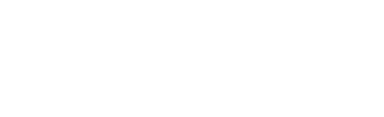 Portfolio Logo